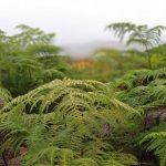 Harness your hyperfocus